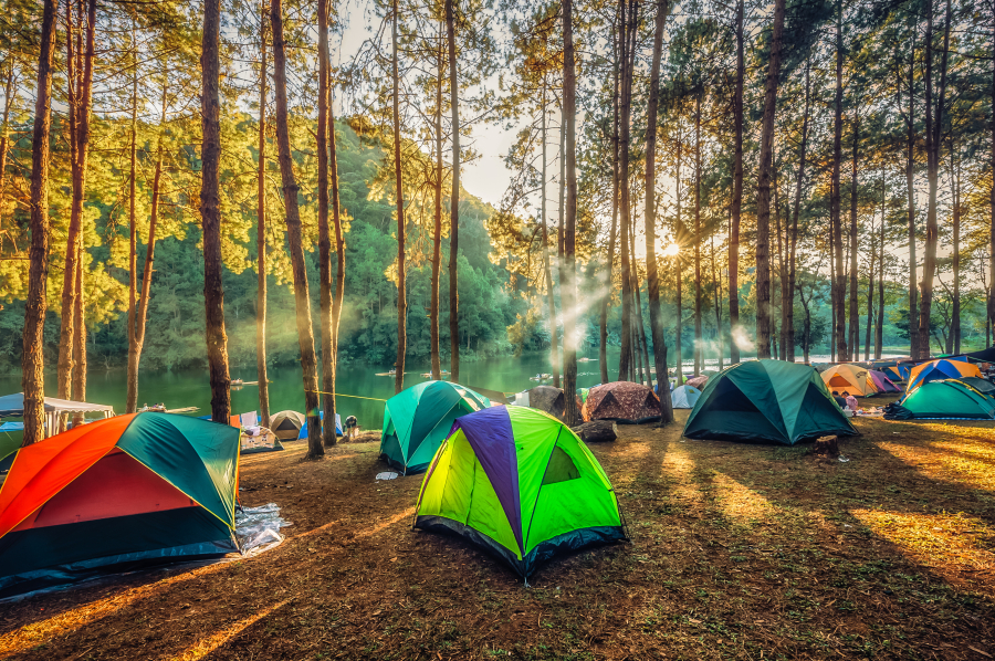 camping écologique Vosges